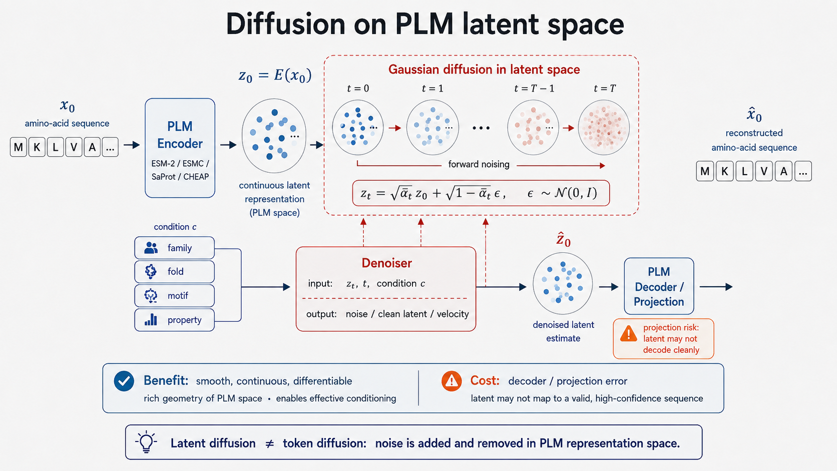 Diffusion on protein language model latent space