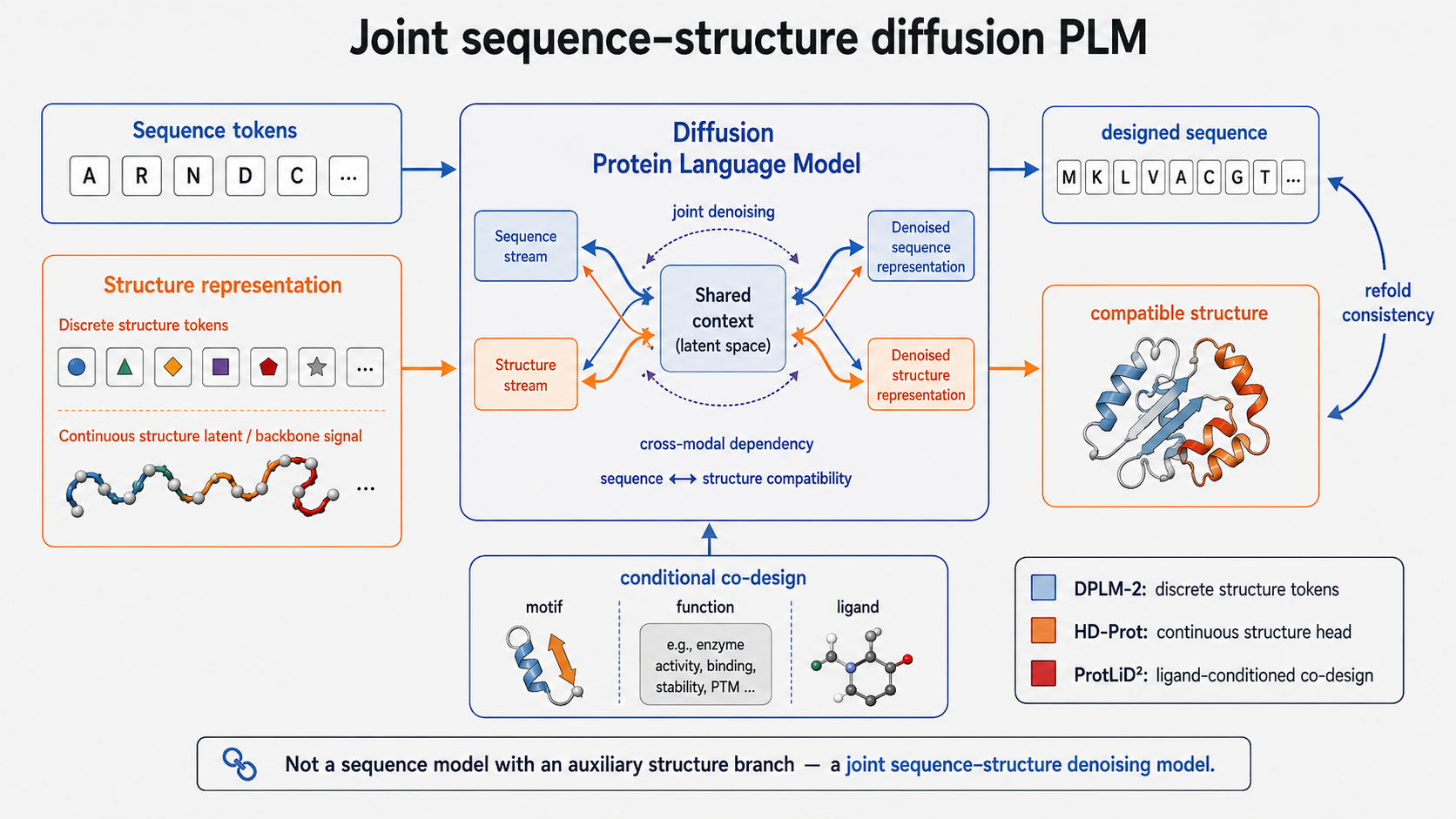 Joint sequence structure diffusion protein language model